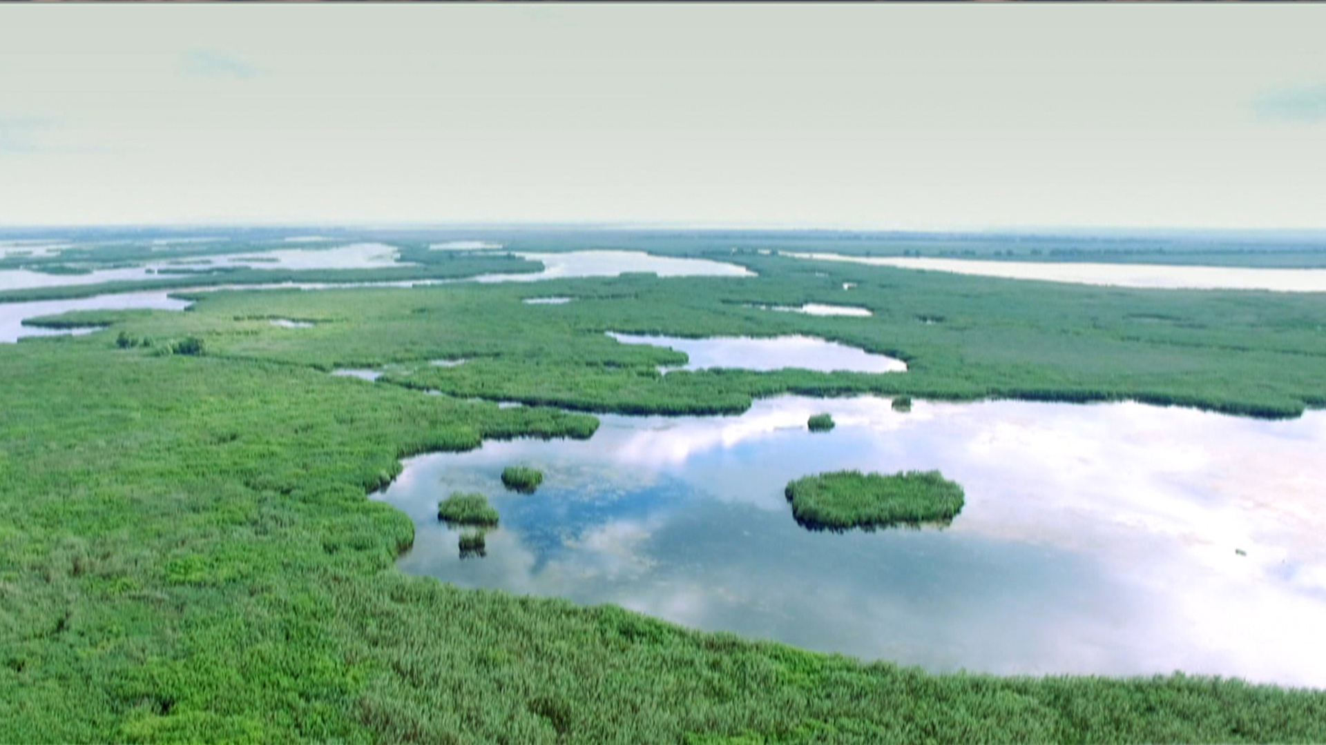 Pescuit Delta