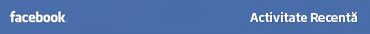 Activitate recenta pe Facebook