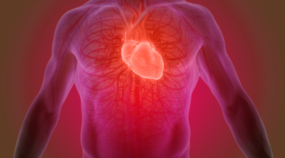 (P) Despre bolile valvelor inimii ndash; valvulopatiile