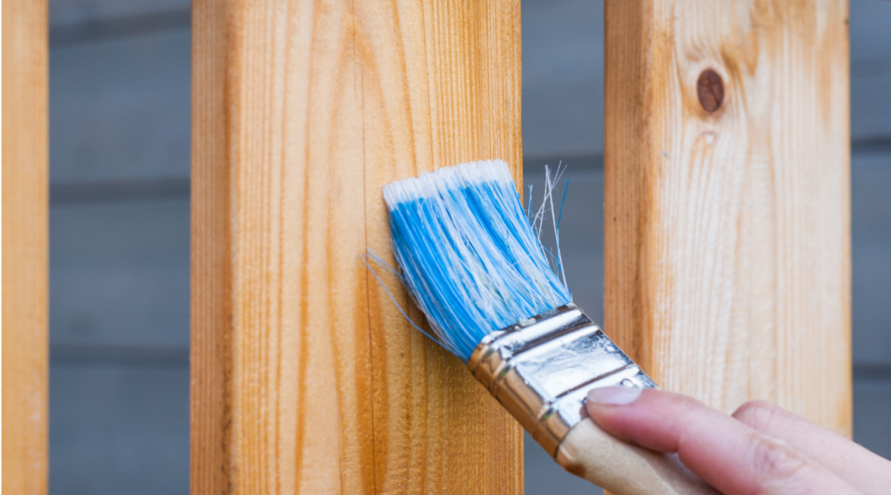 (P) Top 5 motive pentru care sa alegi un gard de lemn