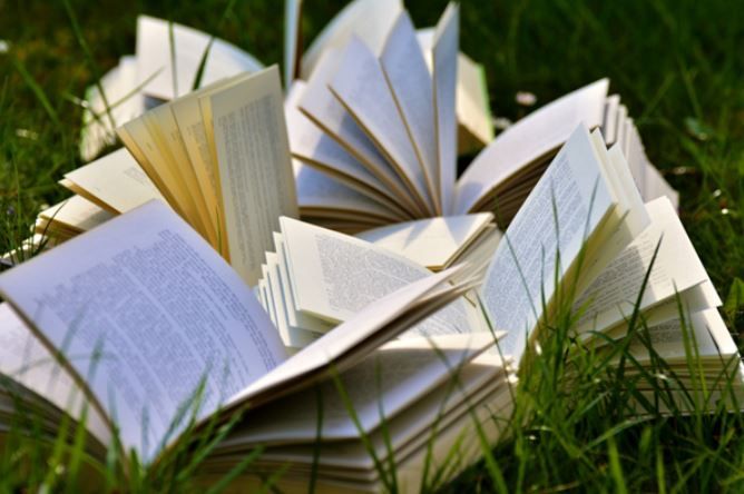 (P) 3 autori români pe care merită să-i citeşti (P) 3 autori români pe care merită să-i citeşti