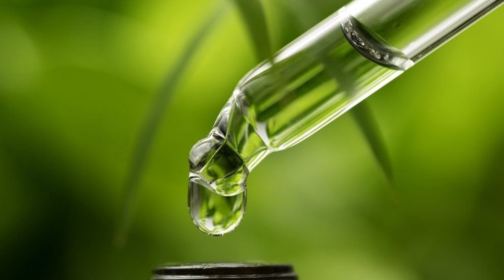 (P) Alege un ulei de canabis organic! Iată de ce!