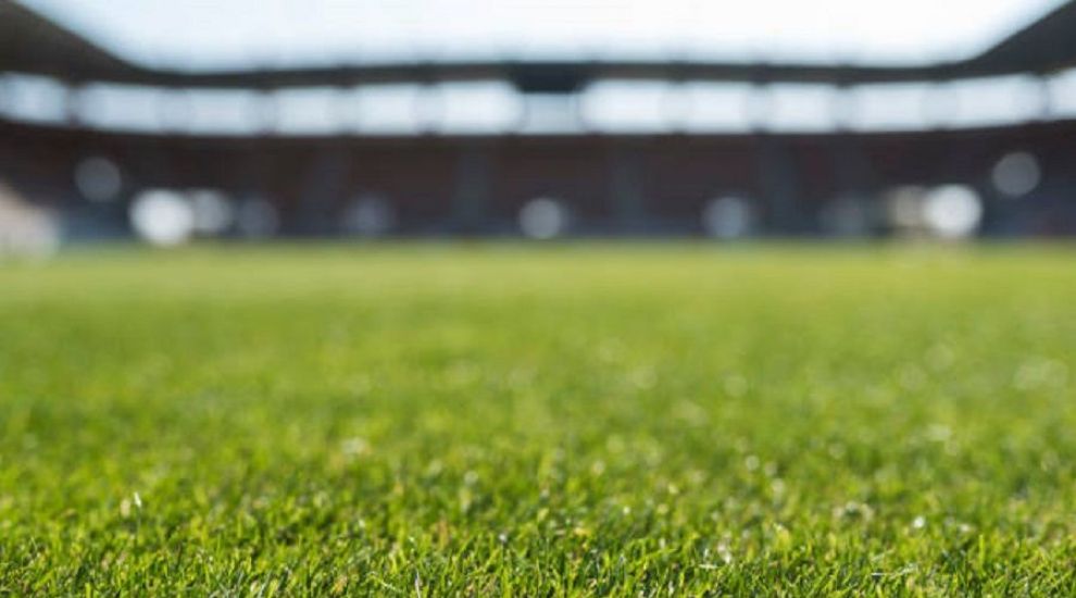 (P) Ponturi pentru EURO 2020