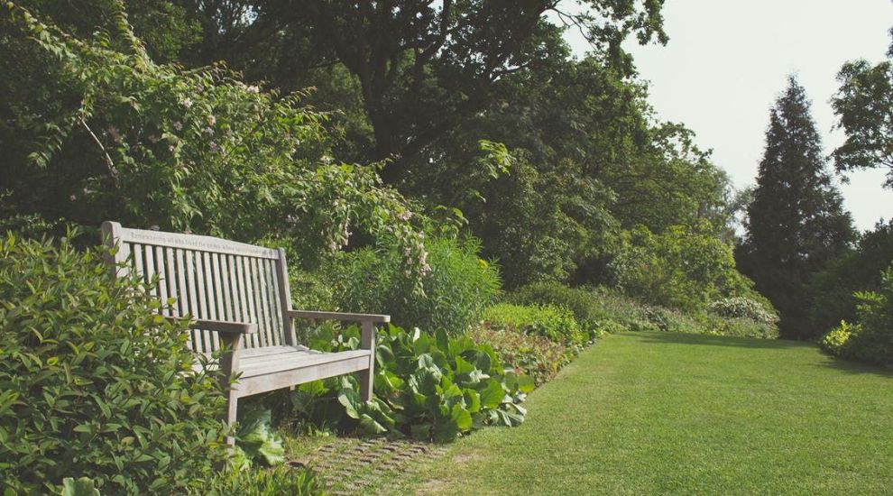 (P) Sfaturi de la peisagiști pentru a obține o grădină fermecătoare în stil englezesc