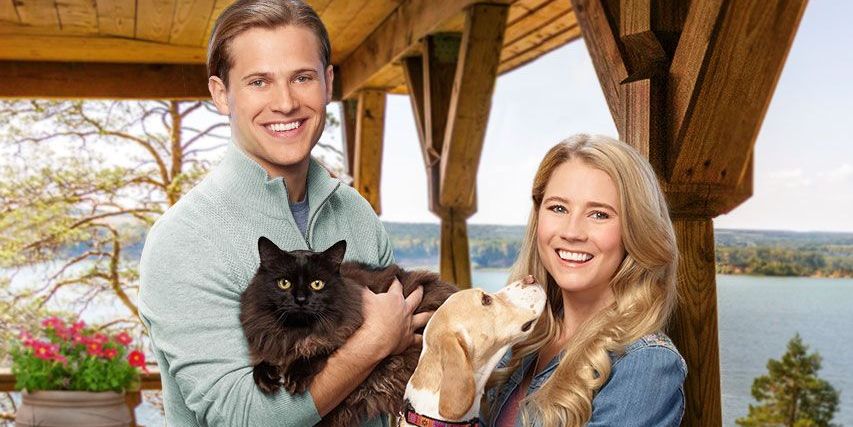 Un cățel, o pisică și o dragoste cu năbădăi