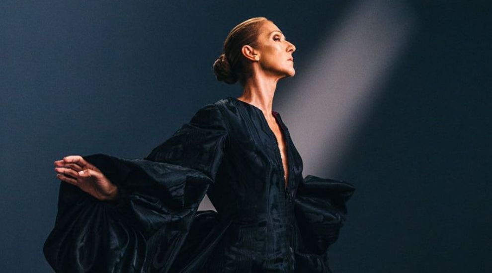 Céline Dion a reapărut alături de fiii ei la concertul Rolling Stones