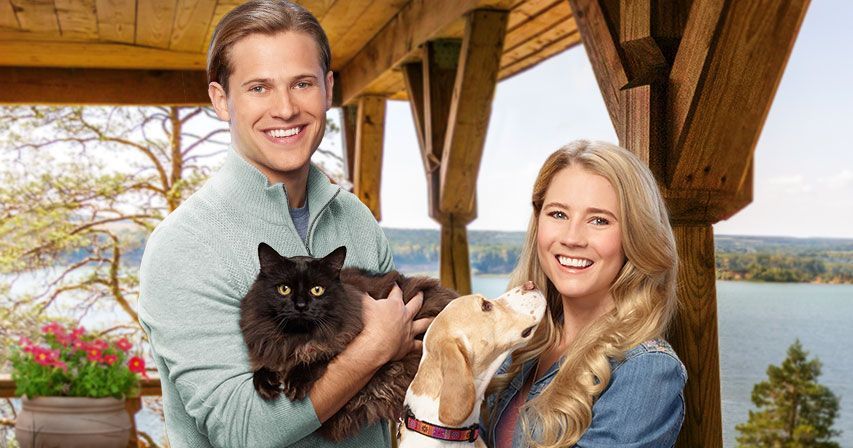 Tu ce iubești mai mult, câinii sau pisicile?