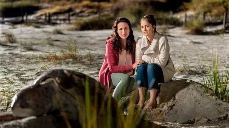 Despre dragoste și renunțare cu Andie MacDowell în Casa de pe plajă