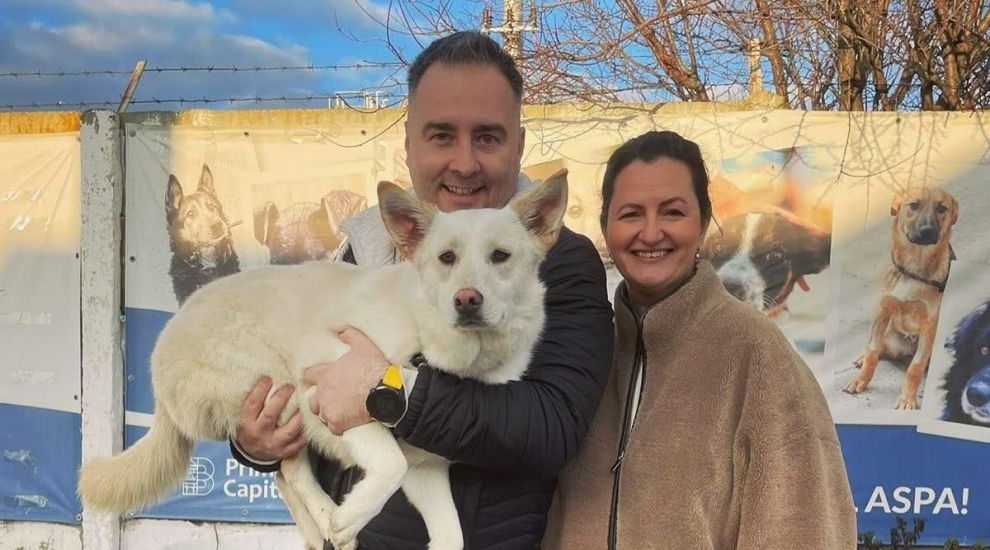 Adorabil! Rareș Năstase de la România, te iubesc! a adoptat un cățel.