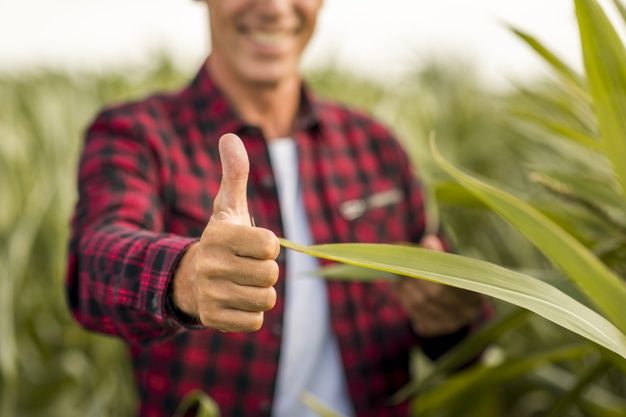 (P) 5 sfaturi pentru a deveni un investitor de succes în agricultură