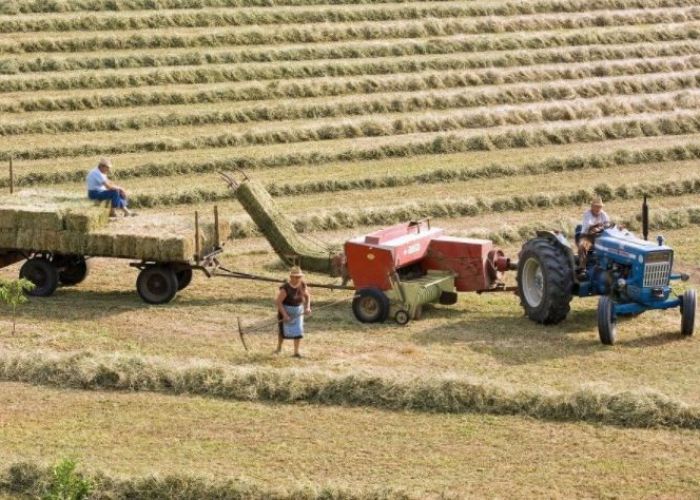 (P) Cele mai importante 12 activități agricole pentru rezultate bune