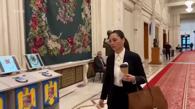 Val de plecări din POT. Parlamentarii &bdquo;suveraniști&rdquo; spun că &bdquo;rom&acirc;nii vor &icirc;n Europa&rdquo;