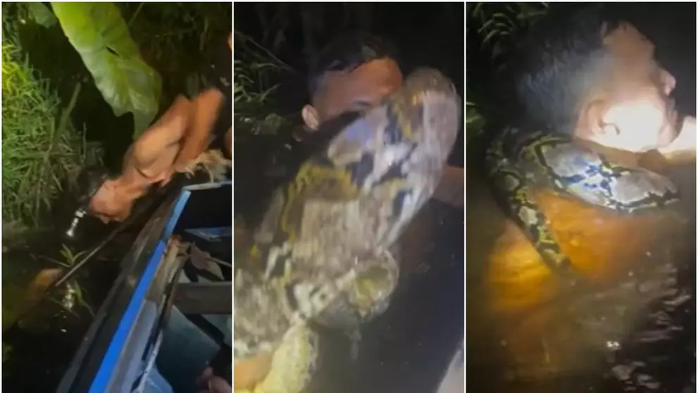 Momentul terifiant &icirc;n care un piton uriaș atacă un ghid turistic! Bărbatul a fost tras &icirc;n apă și sugrumat de șarpele agresiv