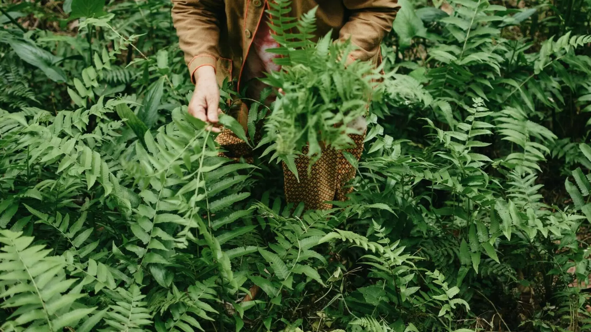 China, care deține deja monopol mondial pe păm&acirc;nturi rare, anunță că a descoperit minerale de mare valoare p&acirc;nă și &icirc;n plante