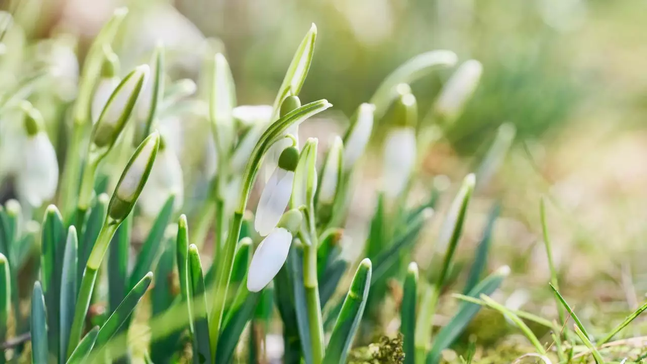 Vremea în România până la jumătatea lunii martie. Când vor veni primele temperaturi de primăvară