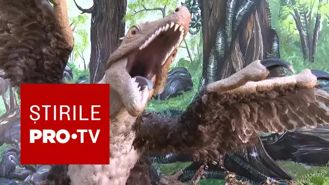 Descoperire de excepție în România. Rămăşiţele unui dinozaur, despre care oamenii de ştiinţă nu ştiau, în Țara Hațegului