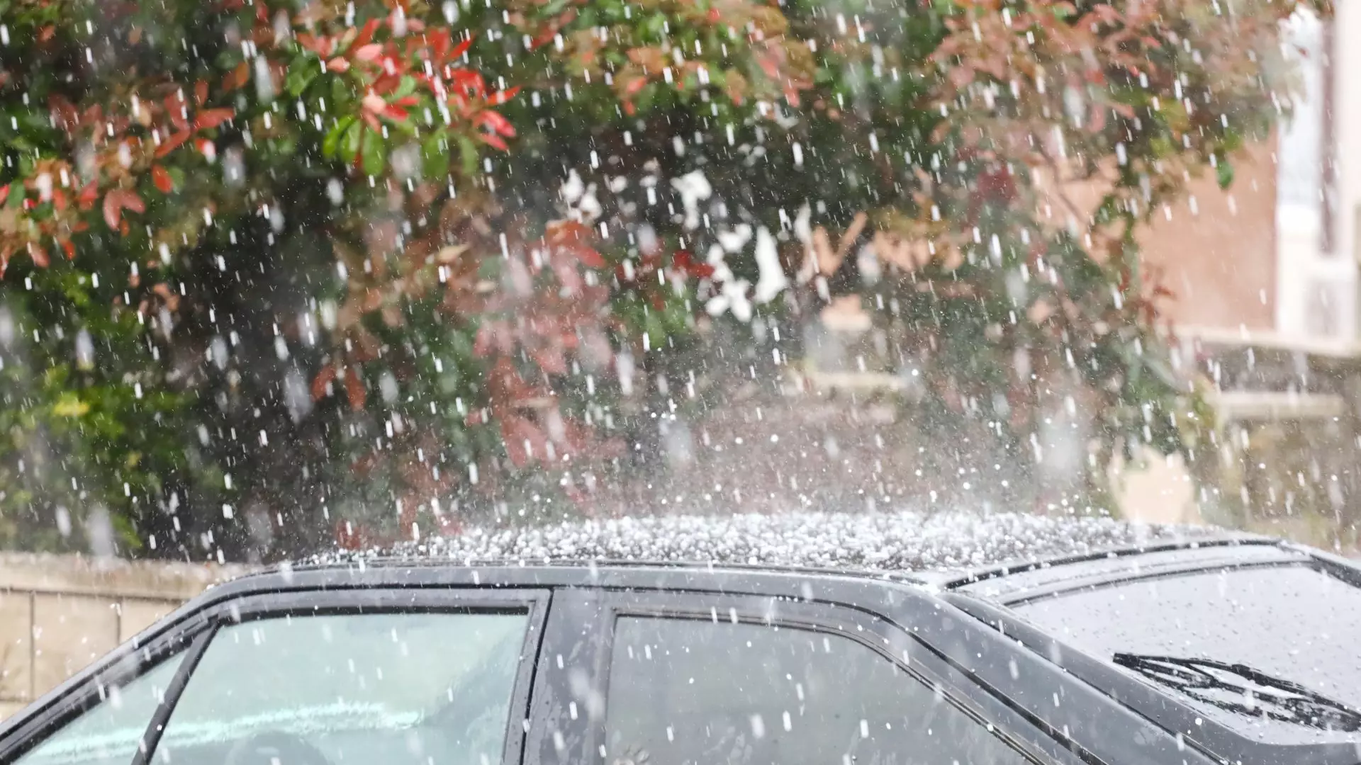 Vijelii, grindină și ploi torențiale în nouă județe din țară. Meteorogii ANM au emis cod galben de furtuni