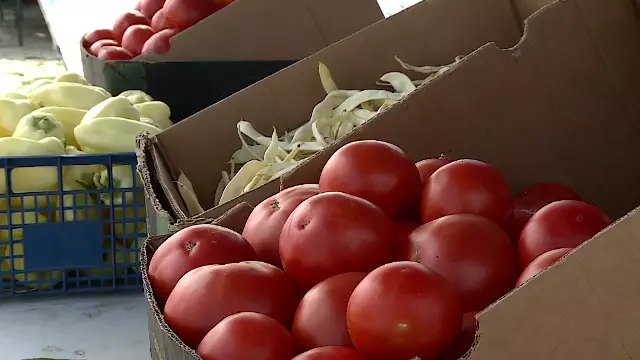 Prețul legumelor a scăzut drastic în plin sezon. Castraveții au ajuns să coste 50 de bani/kg, iar roșiile, 3 lei