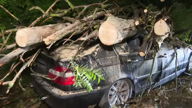 Furtunile au făcut prăpăd în mai multe județe. Copaci căzuți peste mașini și locuințe inundate în urma ploilor torențiale
