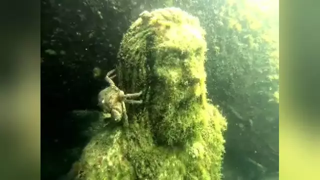 Muzeul „secret” de sub Marea Neagră. Ce pot descoperi turiștii curajoși lângă Cazinoul din Constanța