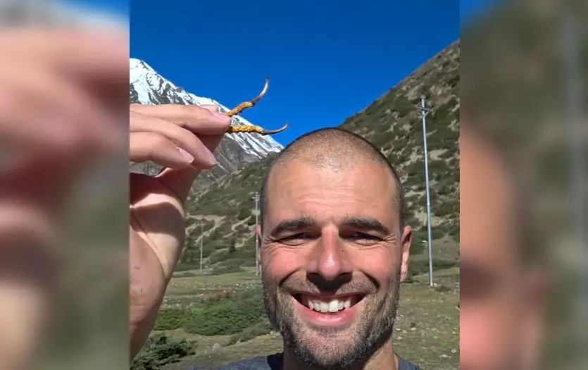 Un polonez a găsit în Himalaya una dintre cele mai scumpe ciuperci din lume. Un kilogram poate costa peste 100.000 de dolari