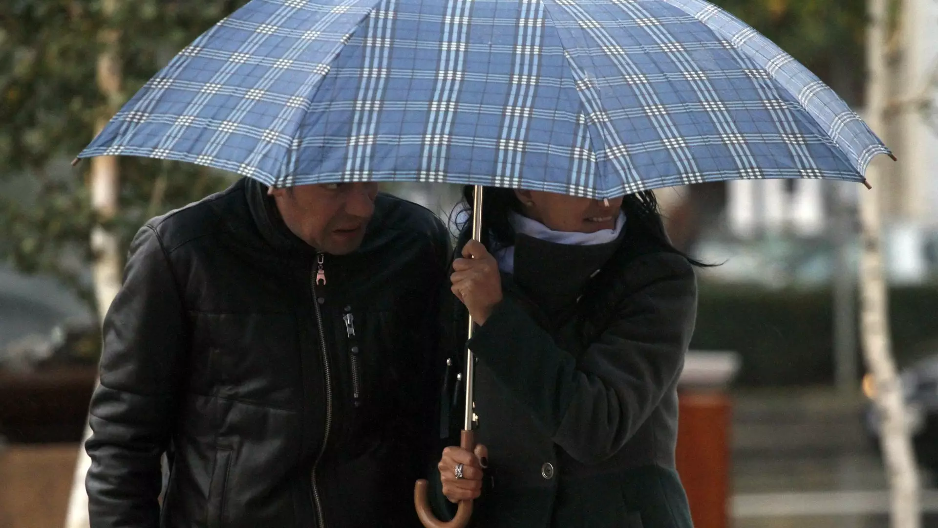 Cod galben de ploi în București și șapte județe. Meteorologii anunță precipitații de până la 40 l/mp și vânt puternic