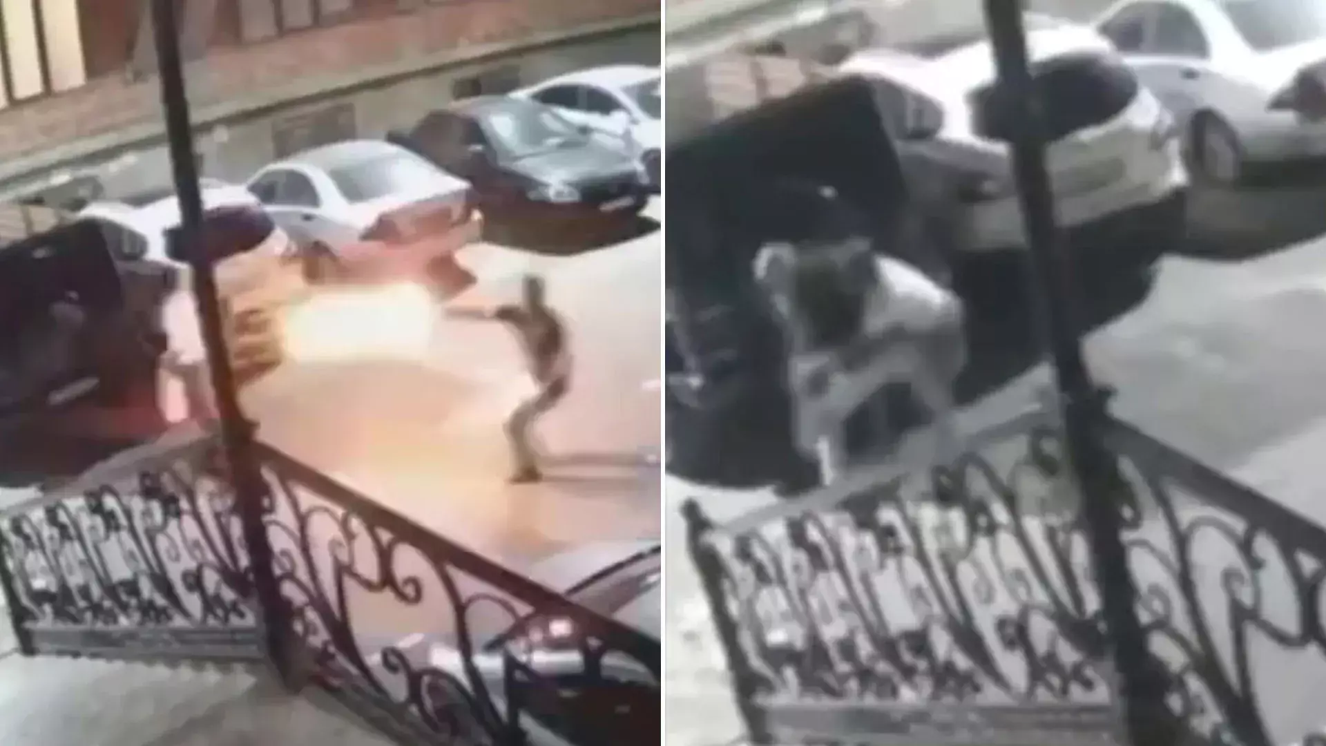 FOTO ȘI VIDEO | Imagini de coșmar! Un cunoscut luptător MMA, ciuruit cu 5 gloanțe în plină stradă. Totul a fost filmat