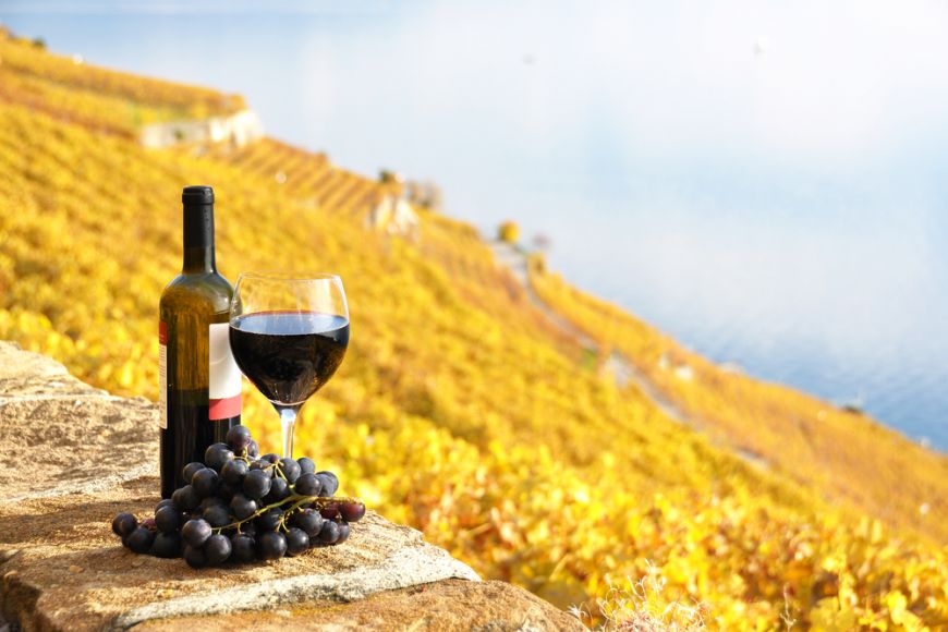 
	Top 10 cei mai mari cumparatori de vin din lume
