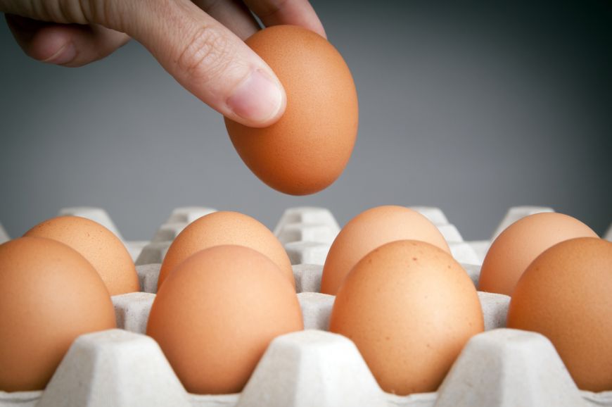 
	De unde cumperi oua proaspete si ieftine? Automatele cu oua, solutia pentru oamenii din marile orase
