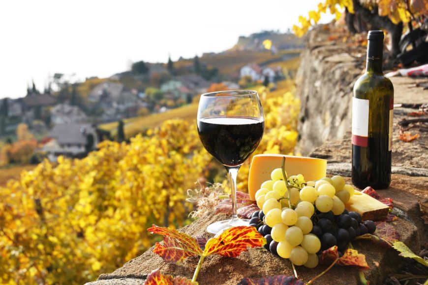 
	Romania, noul Bordeaux al Europei. 5 domenii viticole in care sa-ti faci vacanta vara asta
