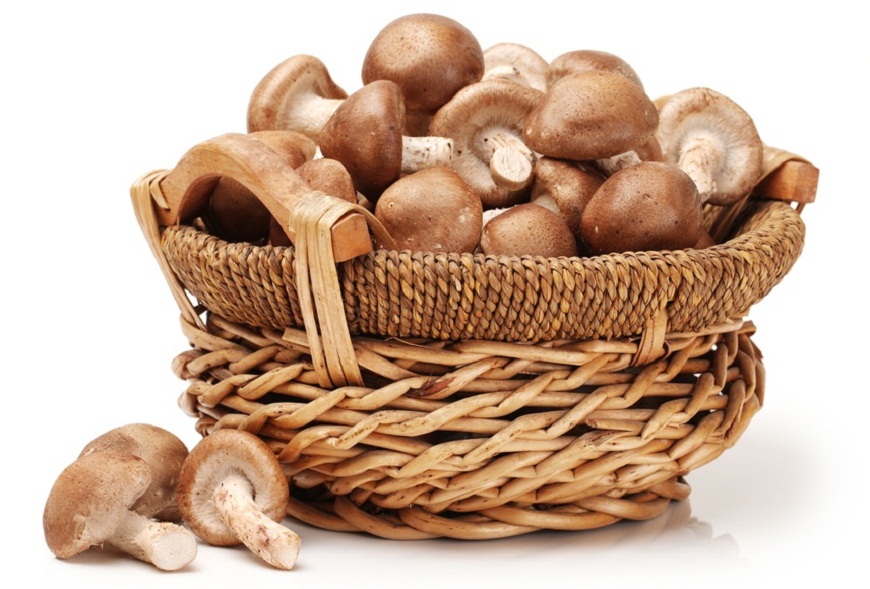 
	5 lucruri fascinante pe care nu le stiai despre ciuperci

