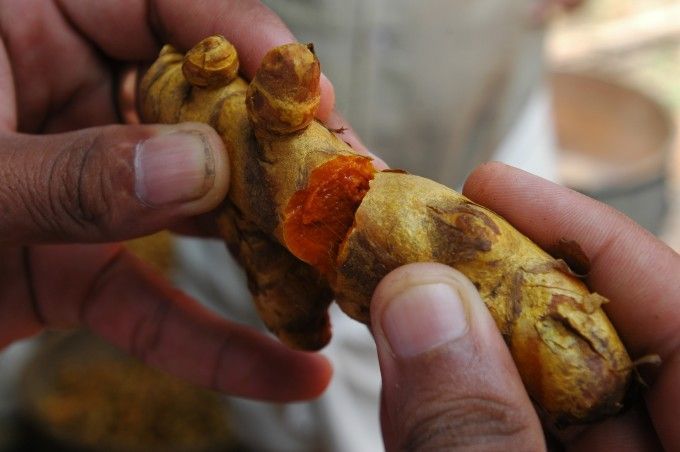 
	Turmericul – o călătorie a gustului, spre India
