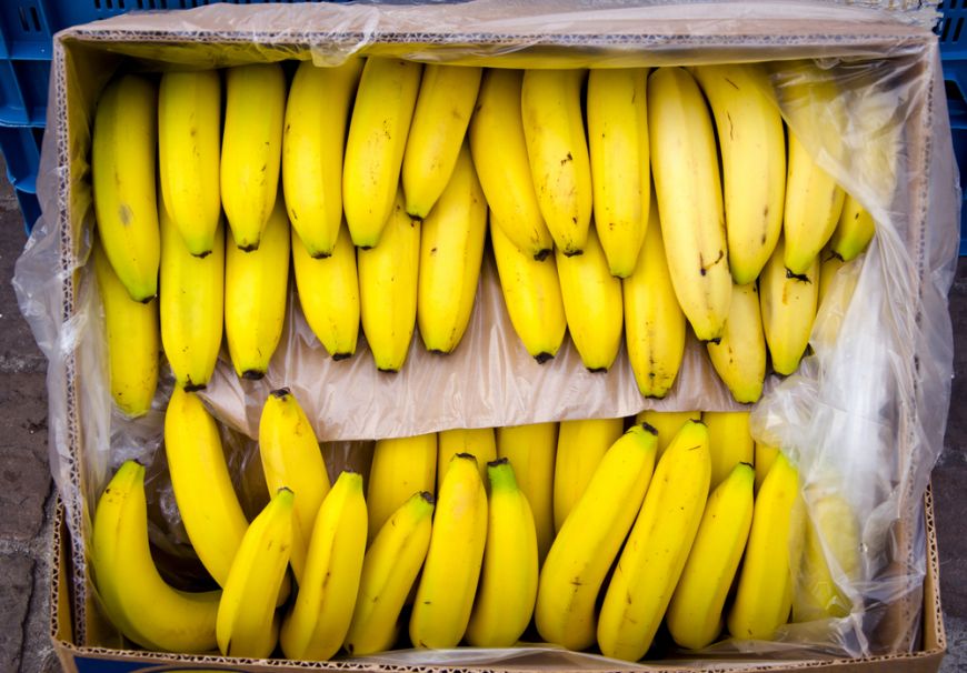 
	Ce au descoperit angajaţii unui supermarket într-o cutie cu banane
