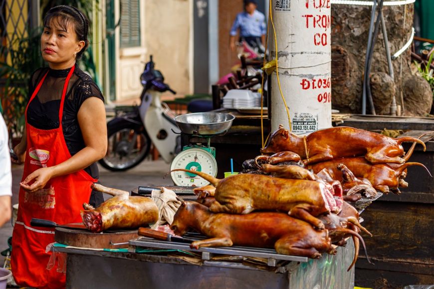 
	Cum au ajuns chinezii să mănânce carne de câine. Mituri şi realitate 
