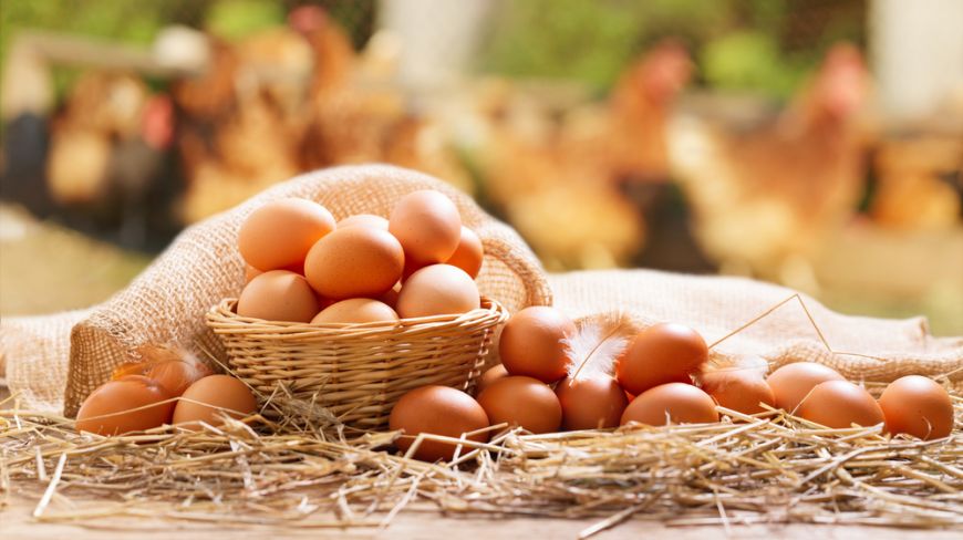 
	Ar trebui spălate ouăle atunci când au murdărie pe coajă? Răspunsul clar ai medicilor 
