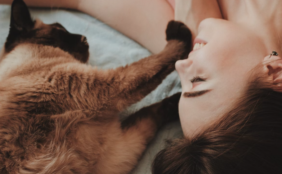 Cum ar putea inteligența artificială să ne ajute să vorbim cu animalele