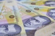 Aproximativ 500.000 de noi contribuabili ar putea plati asigurari sociale