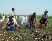 Locuri de munca in Danemarca, cu cazarea la cort. Ultima zi de inscrieri - 1 martie!