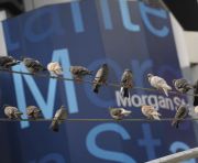 Morgan Stanley: Romania si Bulgaria se numara printre tarile cel mai expuse la situatia din Grecia