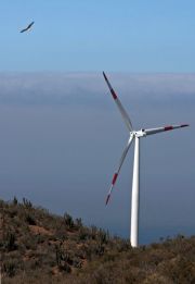 Blue Line Energy, cu proiecte eoliene de peste 500 mil. euro, va finaliza primele unitati in acest an