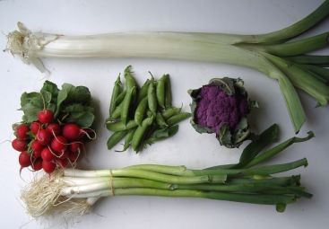 Pastele vine cu preturi mai mari: ceapa verde si ridichile, cu 20% mai scumpe!