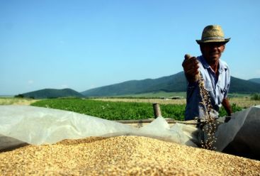 Agricultorii au primit 100 de milioane de euro pentru terenuri si animale
