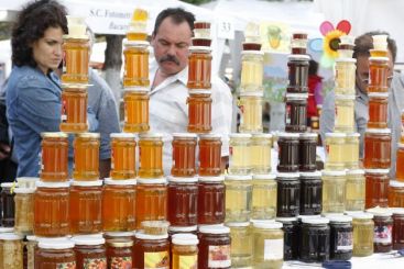 Ploile torentiale reduc drastic productia de miere si fructe in Romania