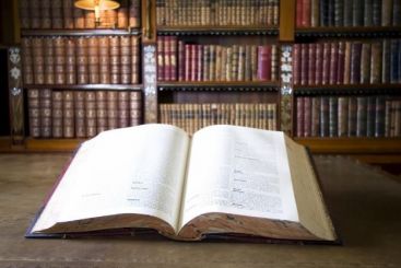 BOC a stabilit ce vom mai putea cumpara cu TVA redus! VIDEO!