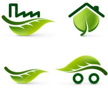 Consiliul de Brand a decis: Frunza va fi pastrata si, eventual, va fi usor modificata! VIDEO!