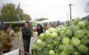 Varza a devenit o delicatesa. S-a scumpit de 15 de ori