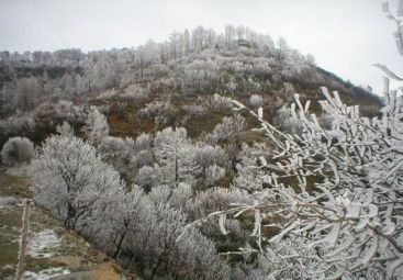 Vine frigul! De maine, temperaturile scad cu 10 grade Celsius! VIDEO