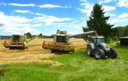 Japonezii vor sa faca agricultura in Romania