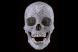 
	Un craniu uman incrustat cu diamante, evaluat la 80 de milioane de dolari
