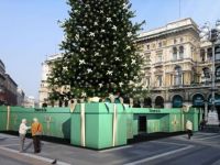 
	Cel mai scump pom de Craciun din Europa se afla in Italia
